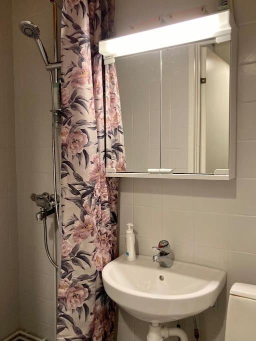 Apartamento Viehaettaevae Asunto Heinolan Keskustassa Exterior foto
